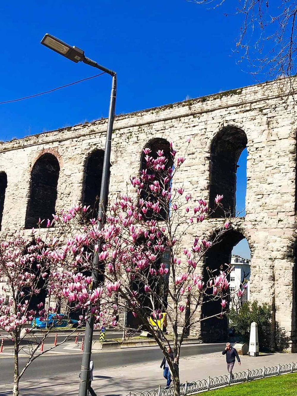 Ancient aqueduct with blooming pink magnolia trees and clear blue sky, perfect for exploring historical sites.