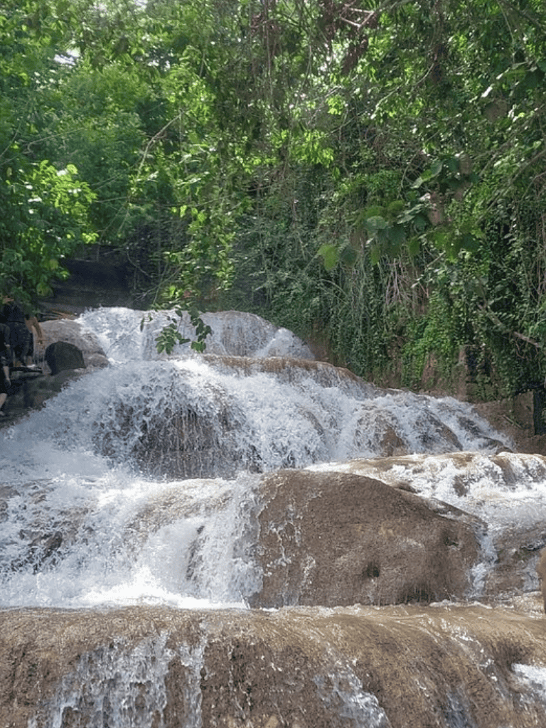 Flowing waterfall in lush green forest for outdoor adventure and nature travel.