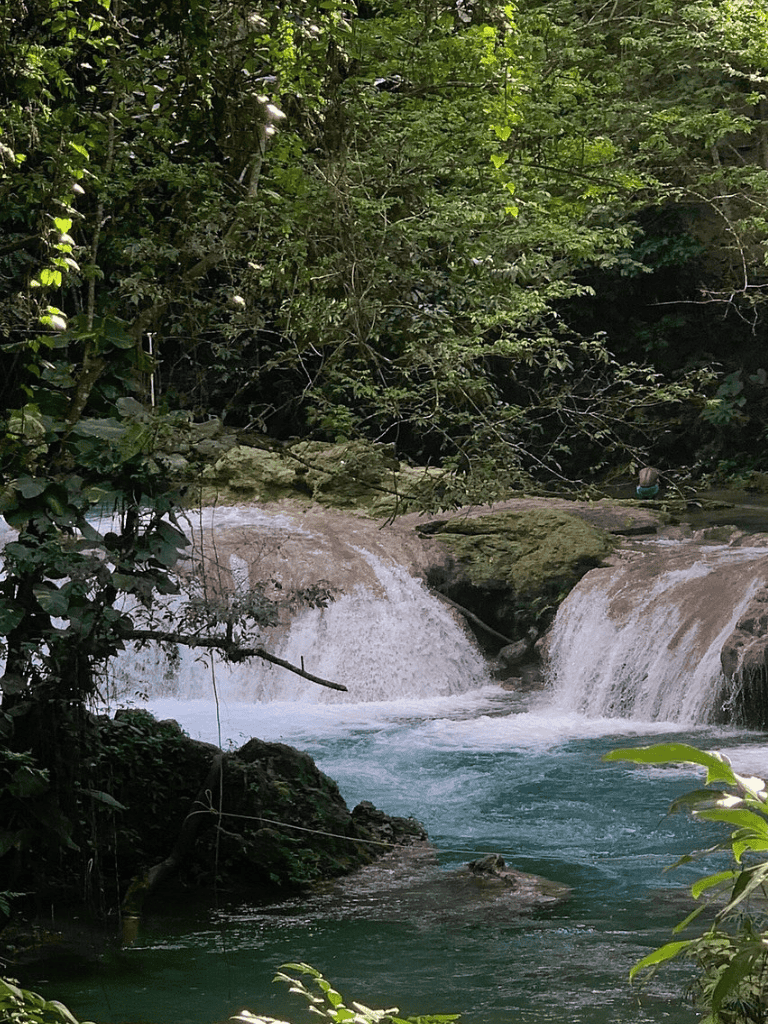 Tranquil waterfall in lush green forest, scenic nature spot to explore and relax.