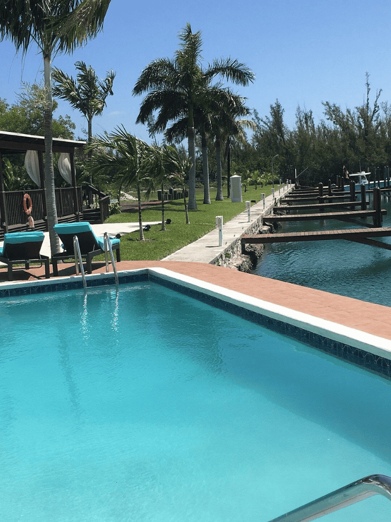 Relaxing poolside at QuestForDirections in a tropical setting with palm trees and water views.