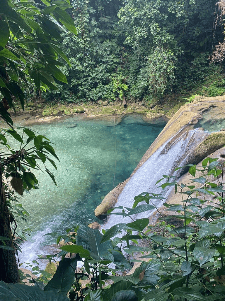 Waterfall cascading into a clear river surrounded by lush greenery.