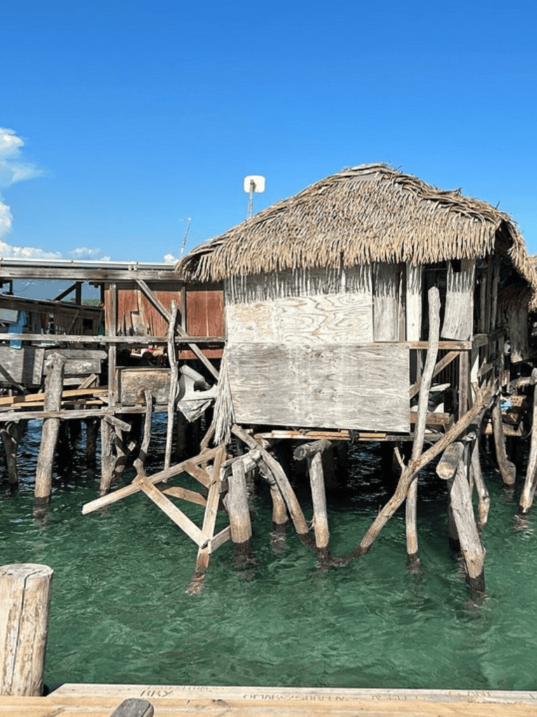 Stilt house over clear water with thatched roof and wooden structure, tropical seaside scenery.