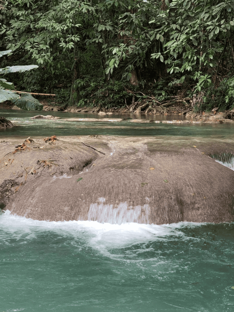 Tranquil river flowing over smooth rocks in lush jungle environment.