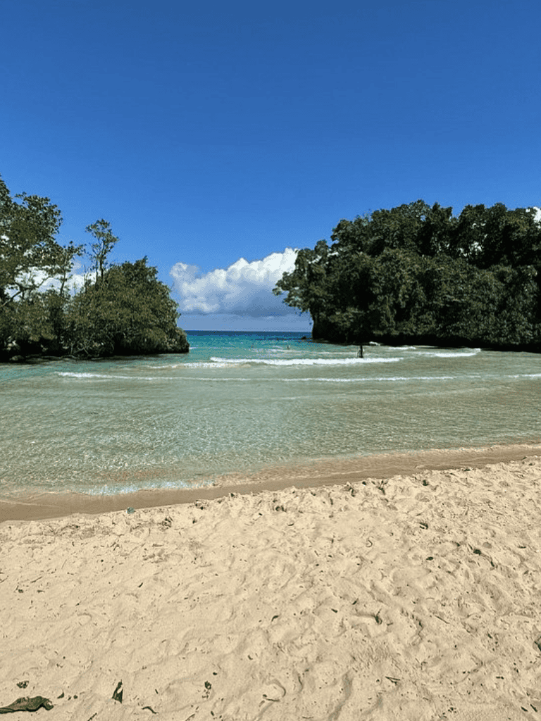 Tranquil beach scene with clear turquoise waters and lush green trees under a blue sky.