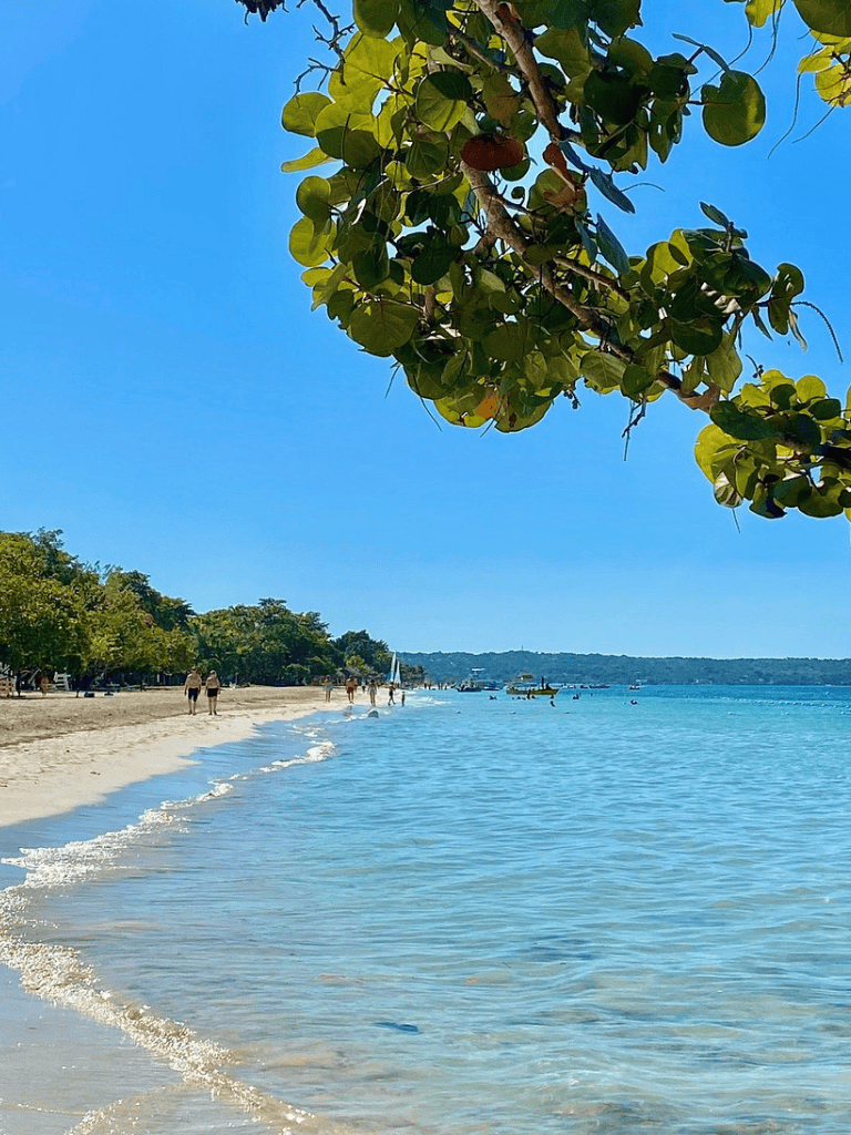 Quiet beach with clear blue water, sunny sky, and lush green trees—ideal for relaxation and seaside activities.