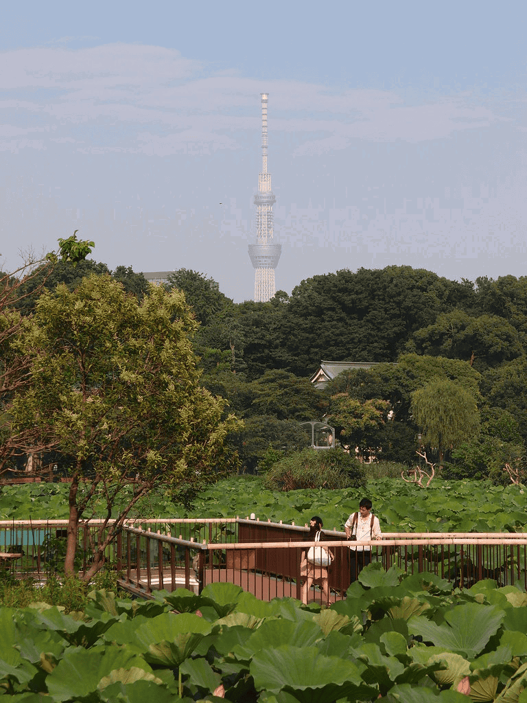 Tokyo Skytree viewed from lush green park with visitors walking on wooden bridge.