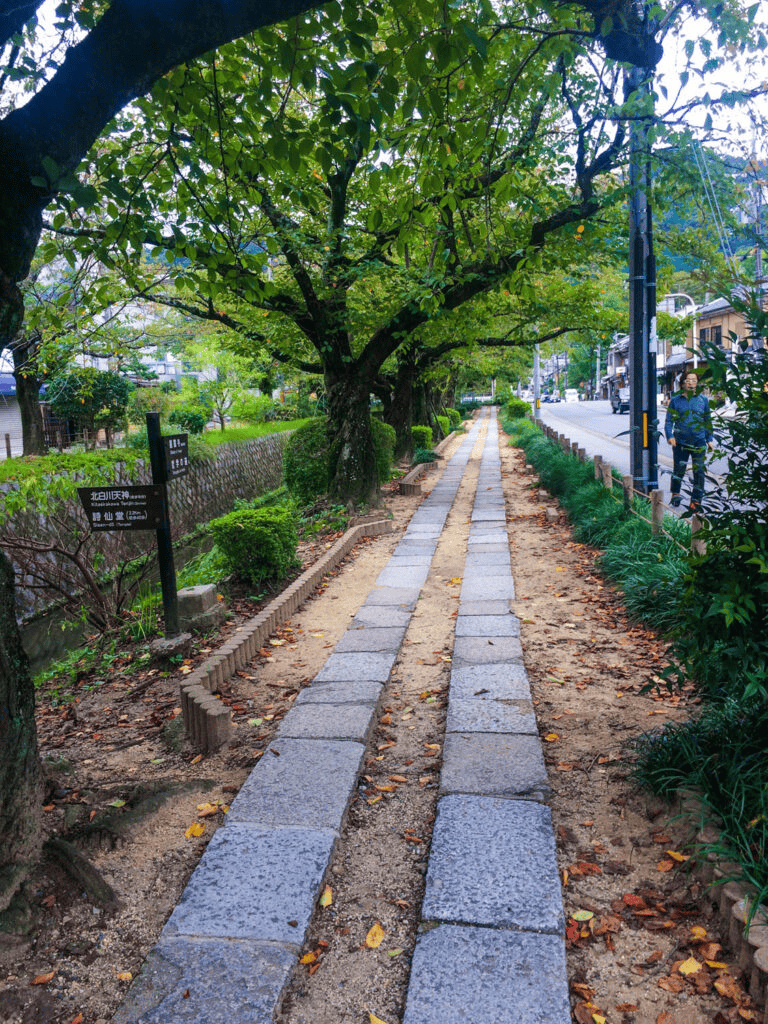 Quiet urban park walkway with stone path and lush greenery, perfect for neighborhood strolls.
