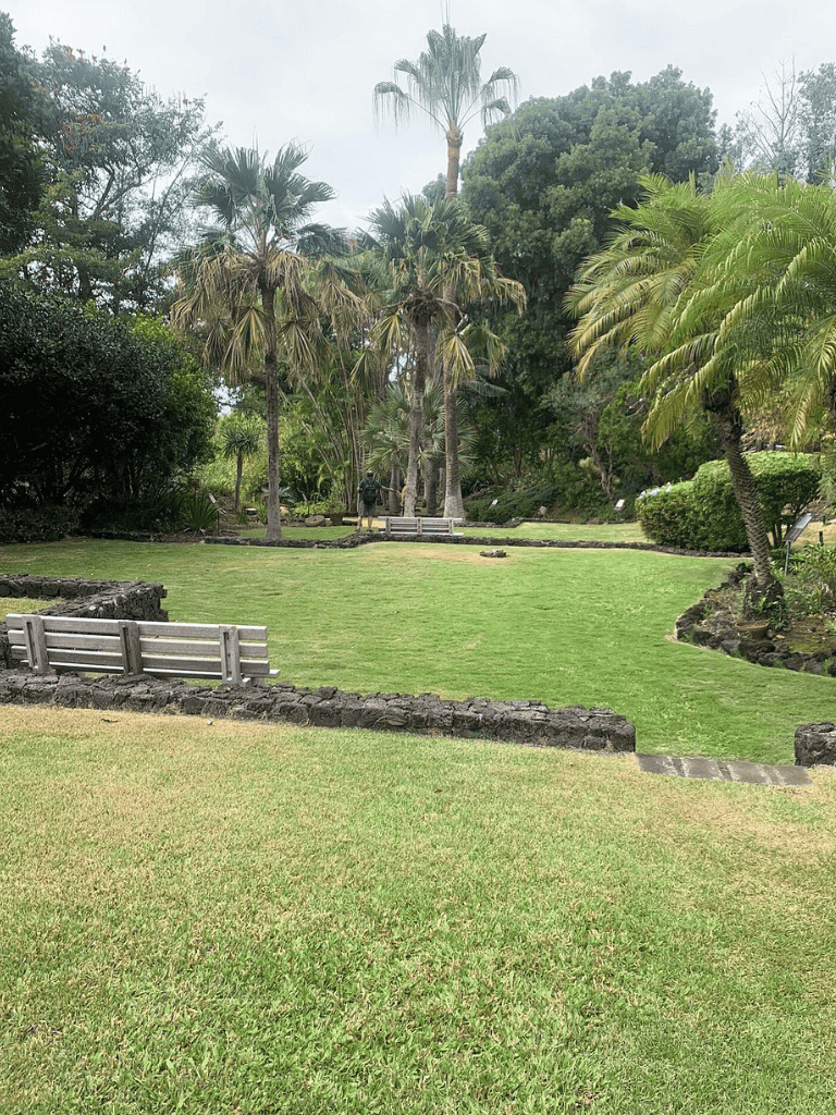 Lush tropical garden with benches, palm trees, and green landscaping for relaxing outdoor experience.
