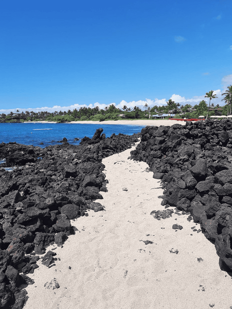 Black volcanic rocks on sandy beach with tropical coastline and palm trees under blue sky, Hawaii vacation destination.