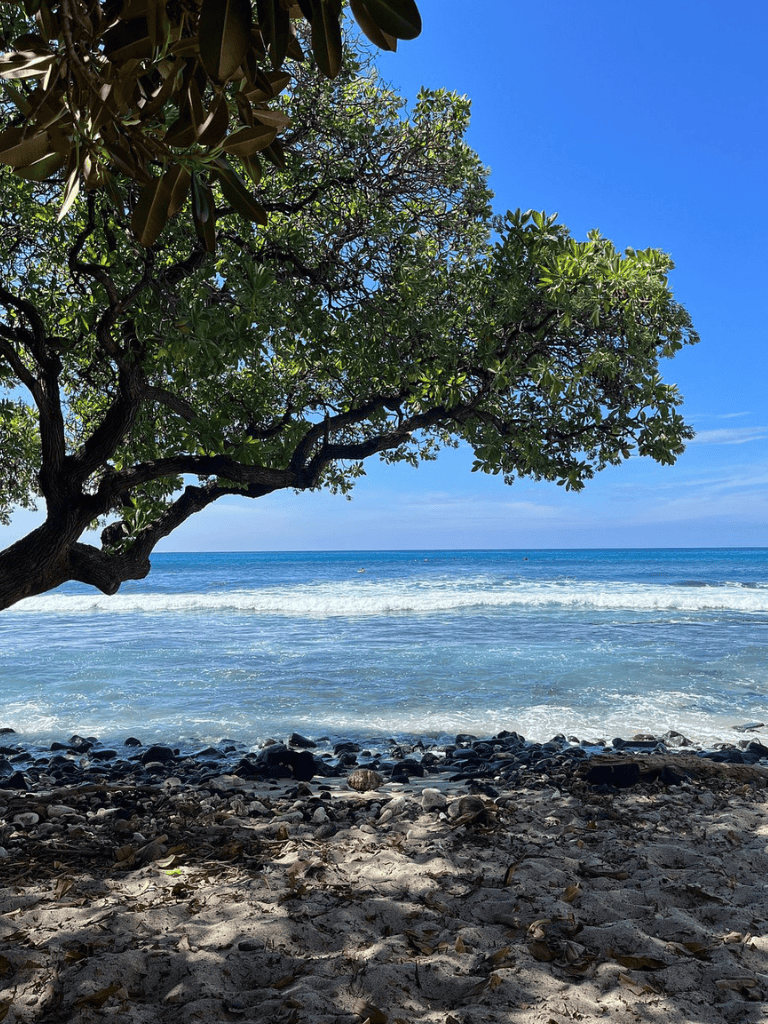 Aerial view of a tropical beach with clear blue water, sandy shore, and lush green tree under bright sunny sky.