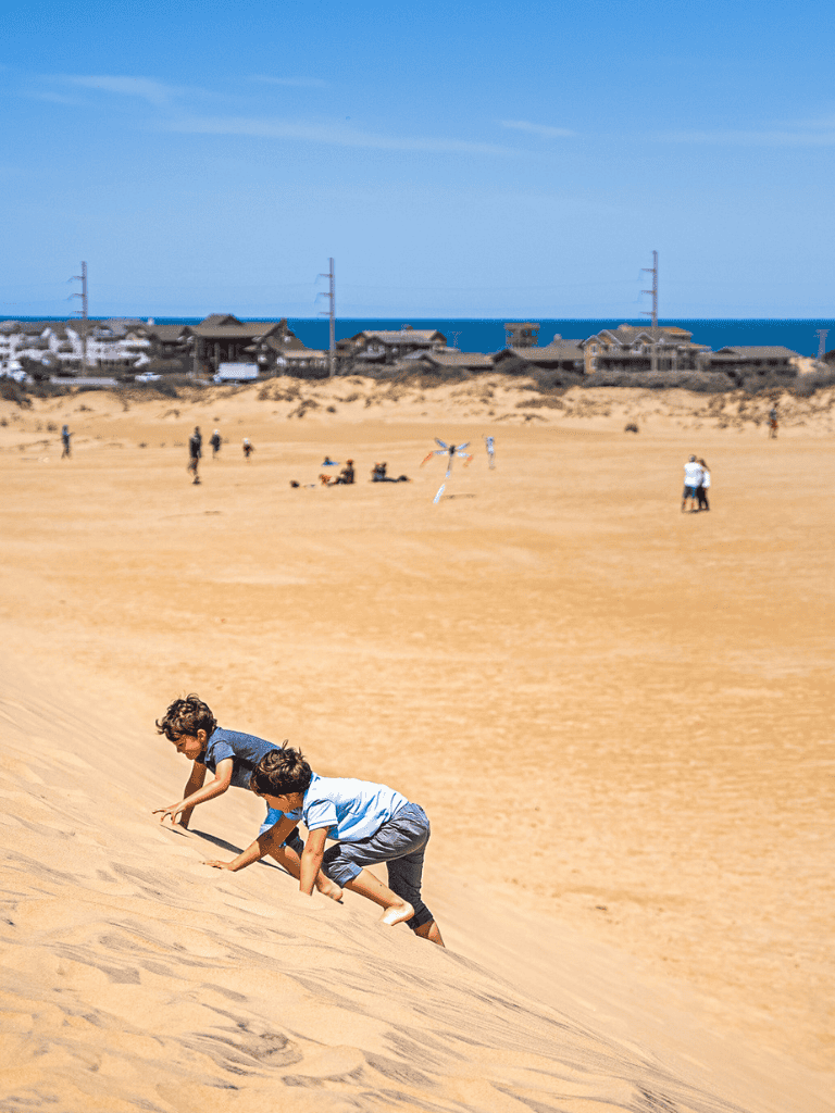 Children climbing sand dunes in a beach landscape with houses and power lines in the background.
