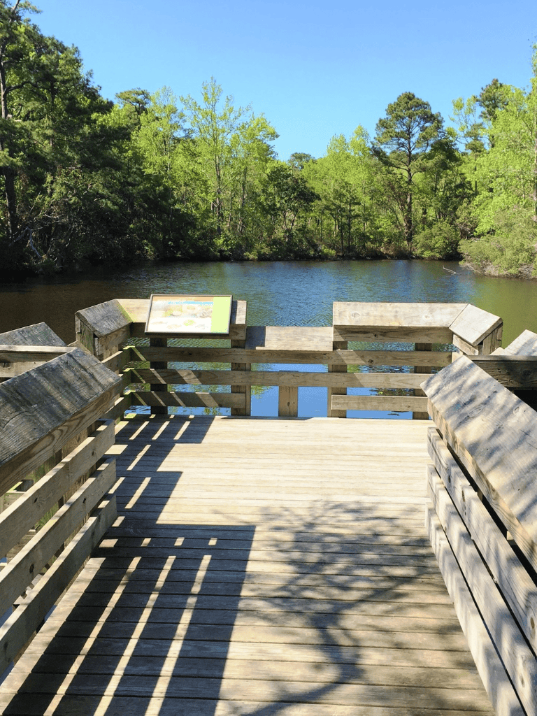 Tranquil river view from wooden observation deck at QuestForDirections.