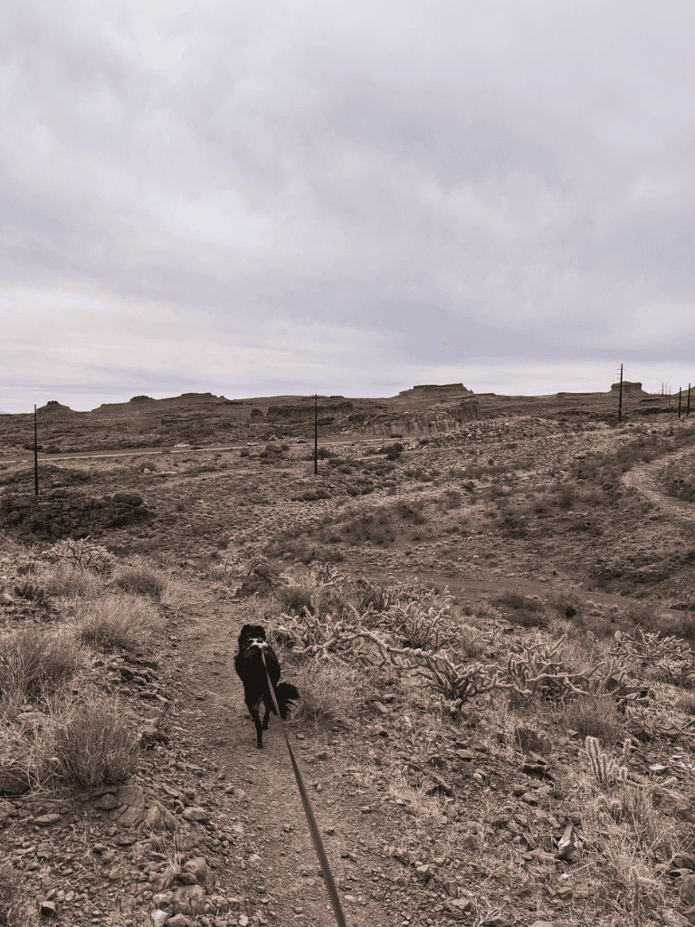Desert trail with dog, rugged landscape, cloudy sky, outdoor adventure, hiking, exploration, QuestForDirections.