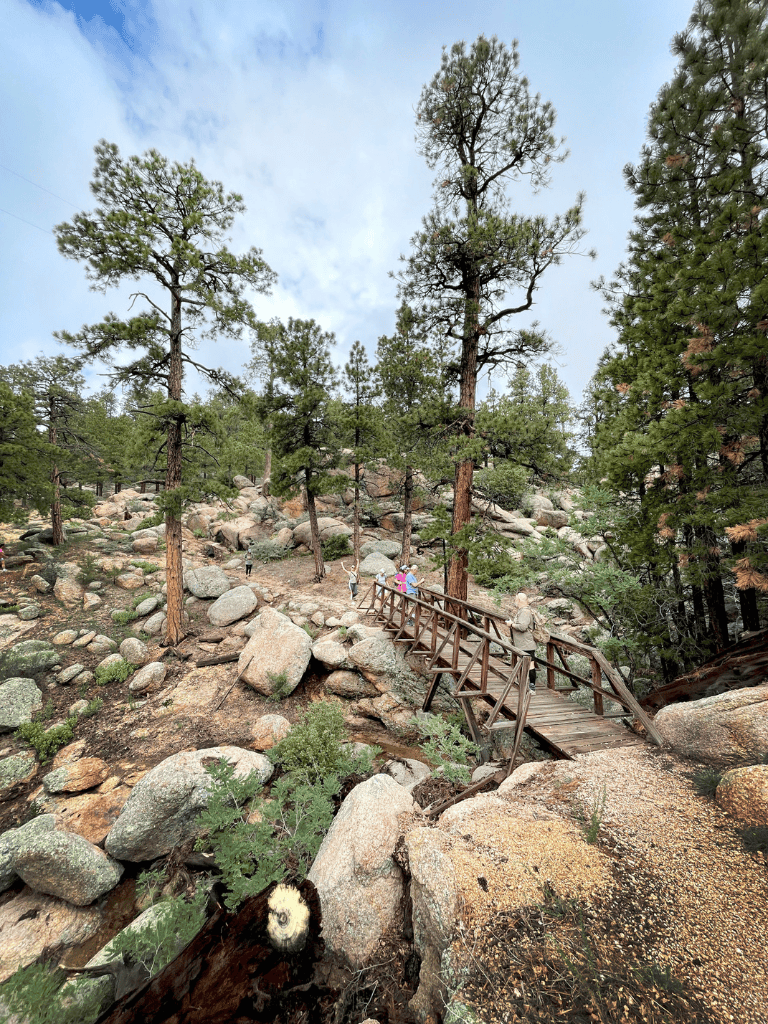 Rocky forest trail with wooden bridge in nature park.