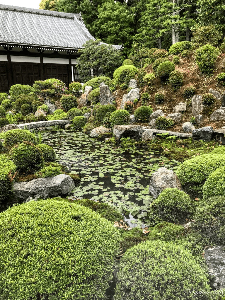 Luscious Japanese garden with pond, rocks, and lush greenery for peaceful retreat and serene landscape.