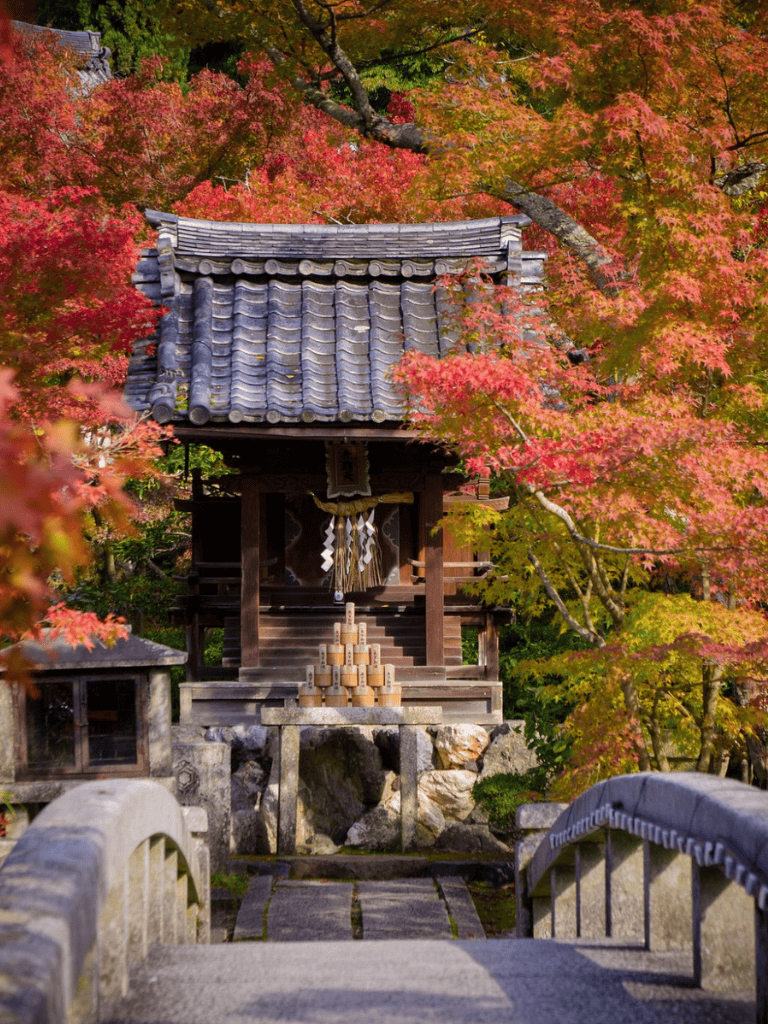 Autumn foliage at traditional Japanese shrine with red and orange leaves.