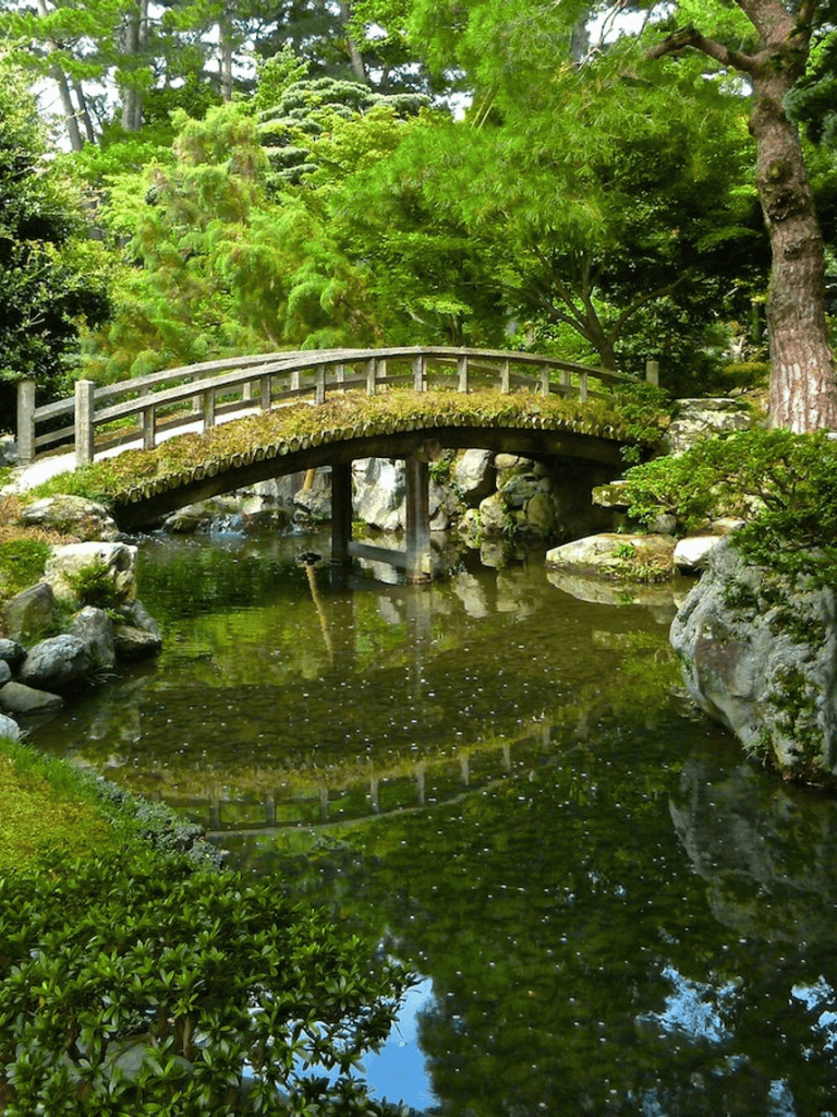 Serene Japanese garden with a traditional wooden bridge over a tranquil pond, lush greenery surrounds a peaceful retreat.