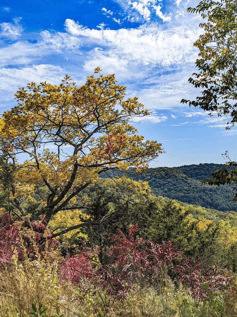 Vibrant autumn landscape with colorful trees and rolling hills, perfect for nature exploration and scenic outdoor adventures.