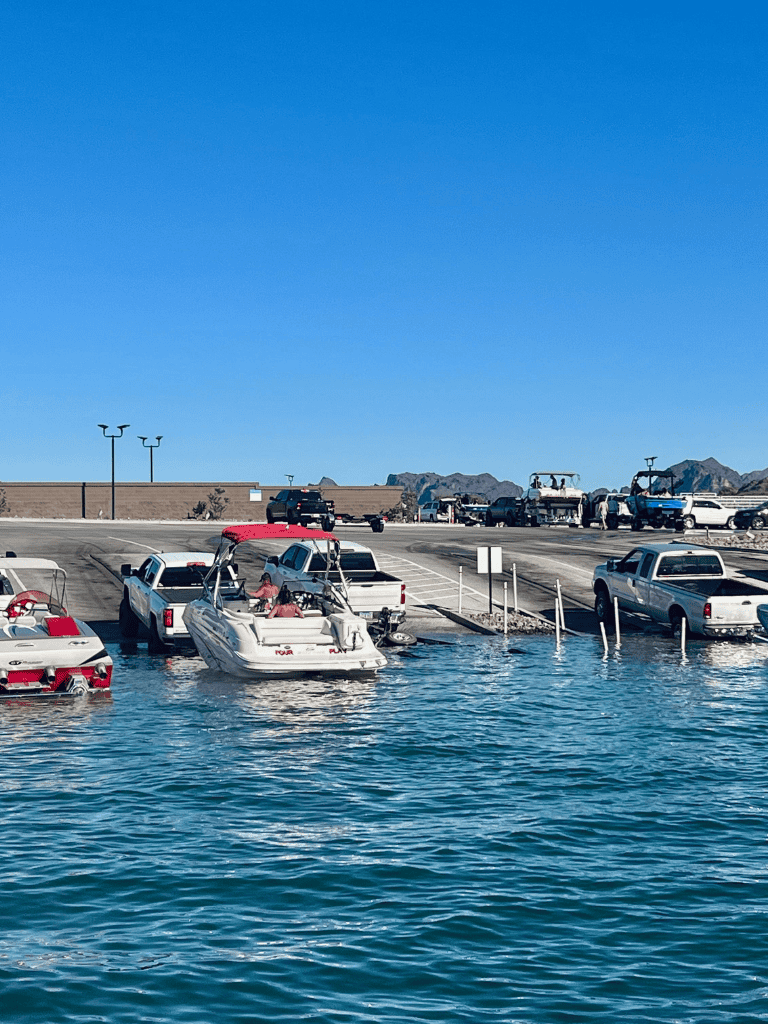 Boats docked at the marina with parked vehicles on a sunny day.