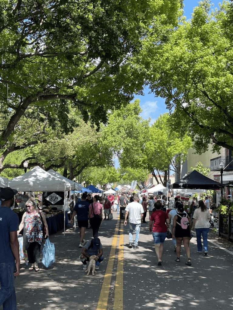 Vibrant outdoor street market with tents, trees, and diverse shoppers on a sunny day.