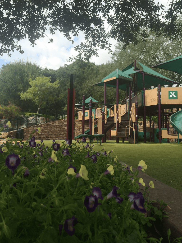 Playground with slides and greenery in a park setting, perfect for family fun and outdoor activities.