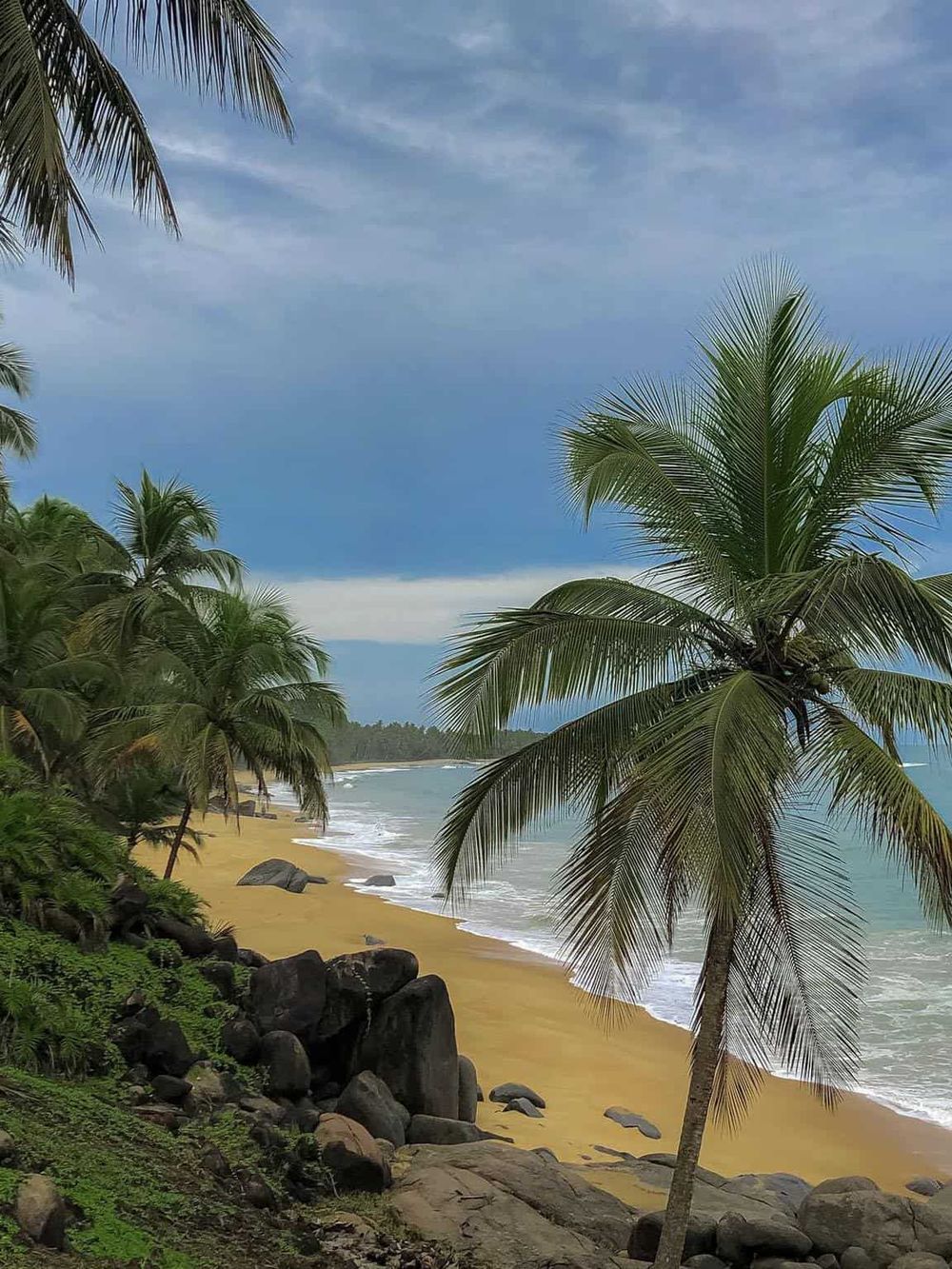 Palm trees on a tropical beach with rocks and ocean under cloudy sky, perfect for travel and adventure SEO keywords.