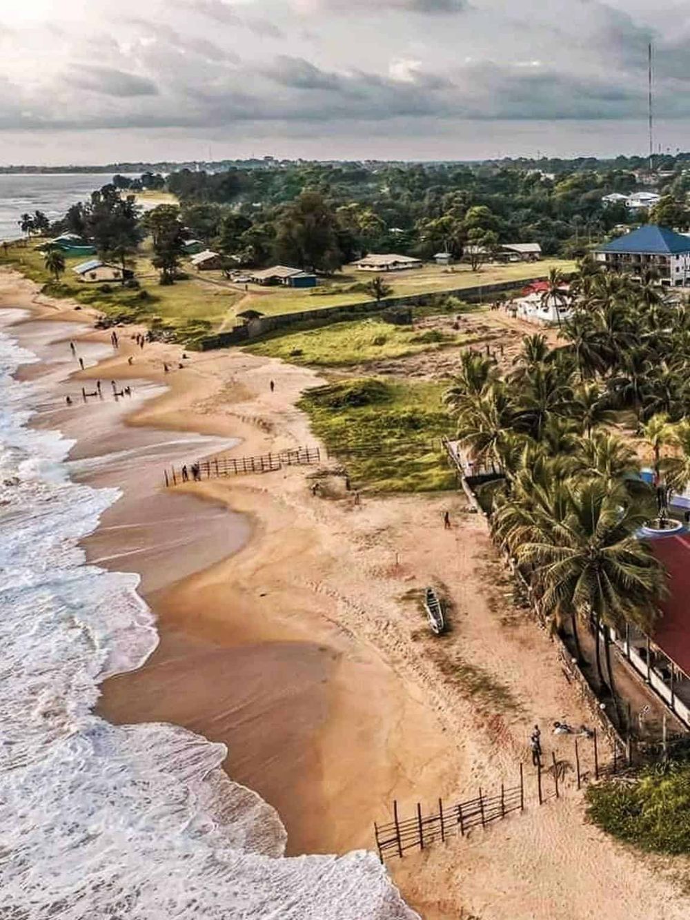 Serene beach view with palm trees, ocean waves, and beachfront properties, perfect for travel and vacation planning.