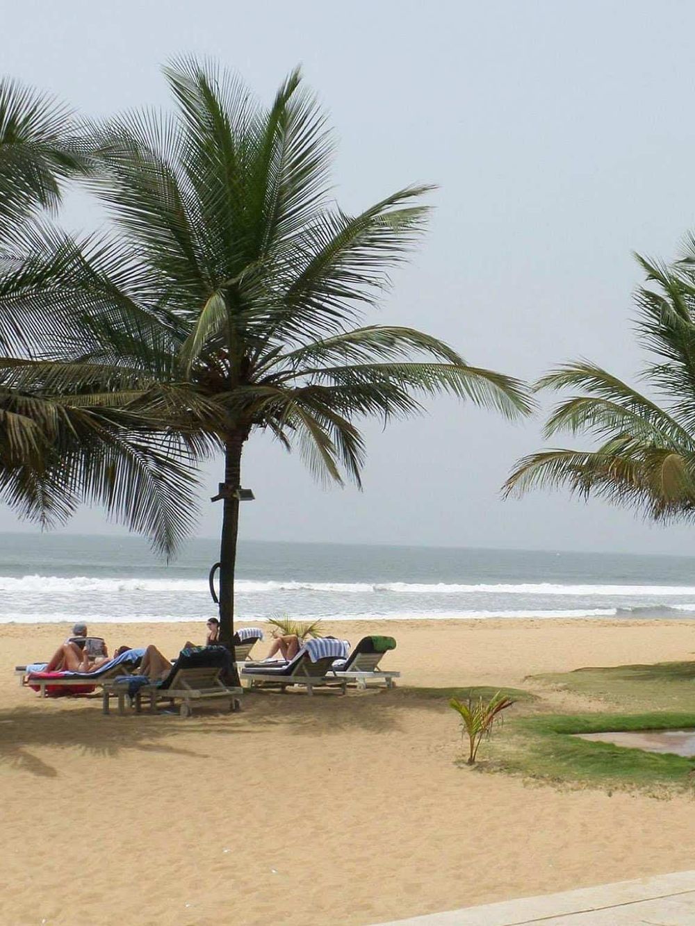 Tropical beach scene with palm trees, lounge chairs, and ocean waves, perfect for relaxing destinations.