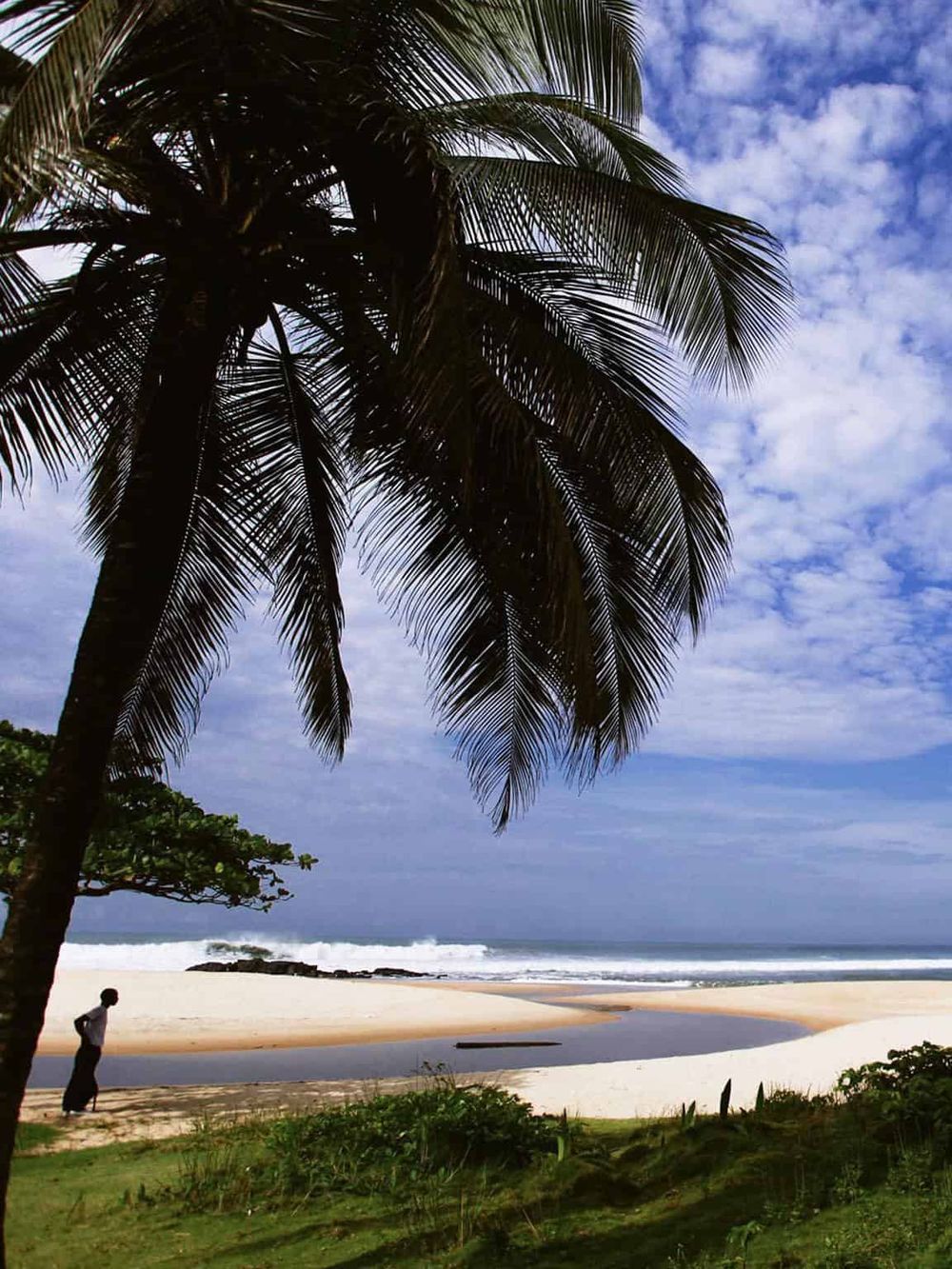 Tropical beach with palm trees and blue sky, ideal for travel and vacation planning.