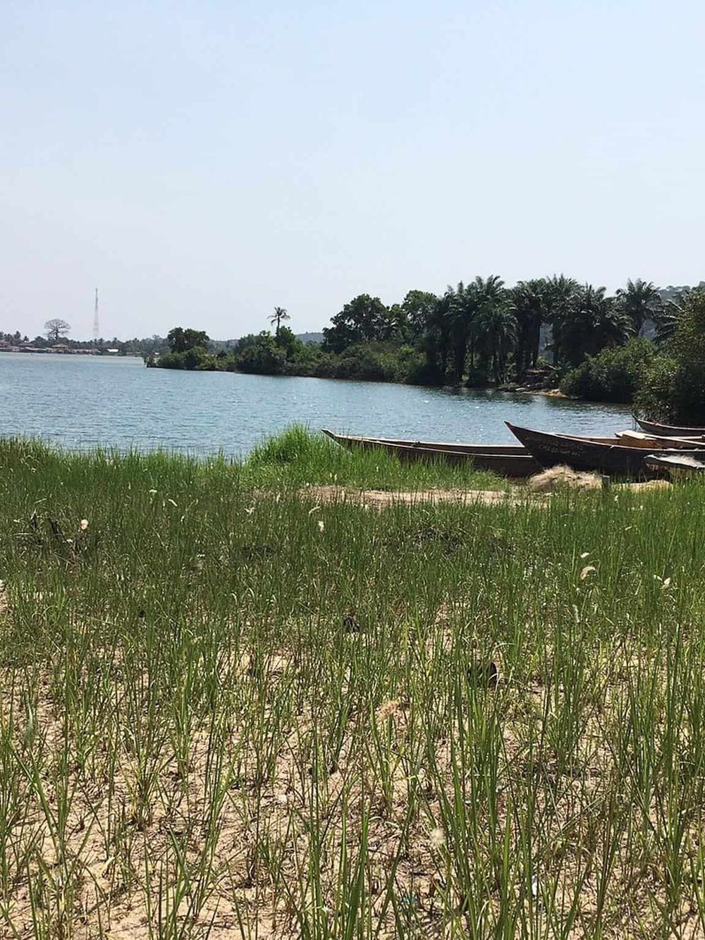 Serene river landscape with boats, lush greenery, and palm trees featuring in the scenic outdoor view.