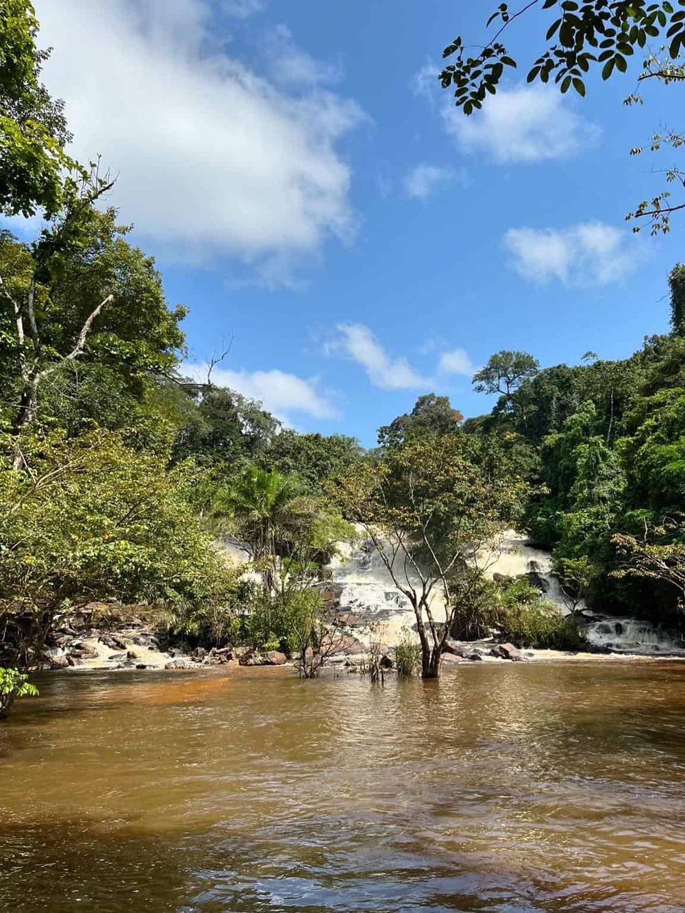 Vibrant lush rainforest with waterfall, river, and clear blue sky, perfect for nature exploration and outdoor adventures.