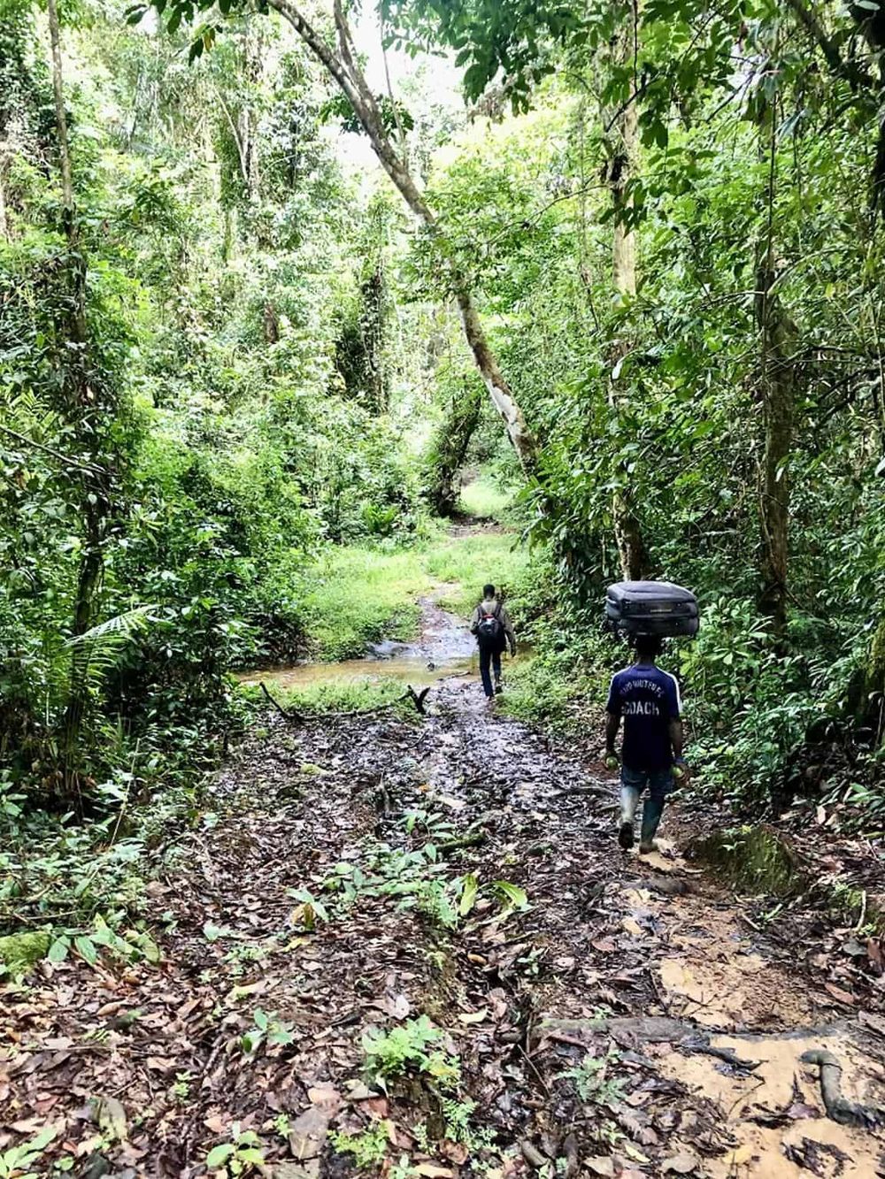 Dense jungle trail with hikers and muddy path, adventure travel and outdoor exploration.