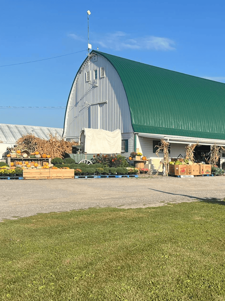 Colorful farm stand with pumpkins and fall decorations at QuestForDirections.