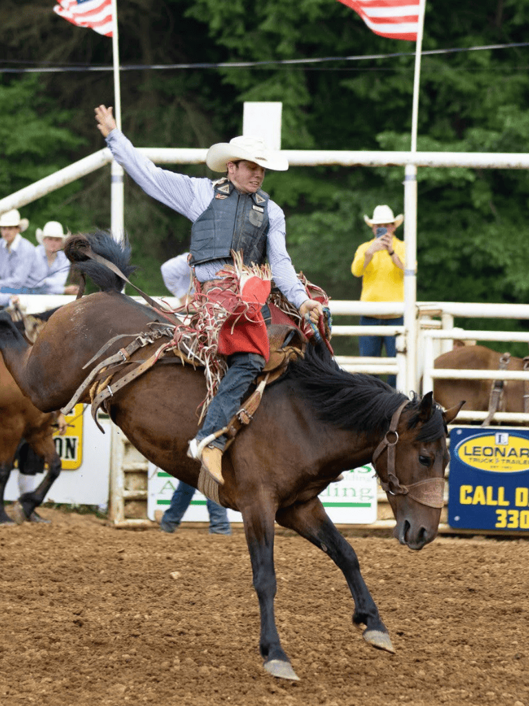 Rodeo cowboy riding bucking horse at a rodeo event.