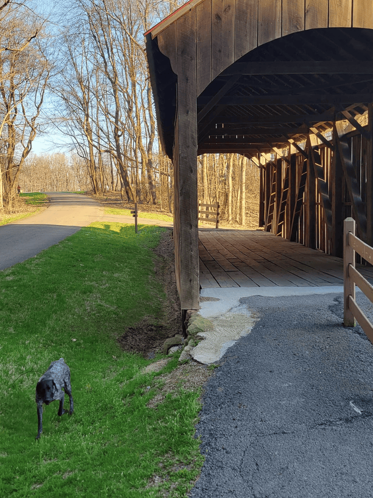 Quiet scenic park trail with wooden covered bridge and a playful dog on green grass.