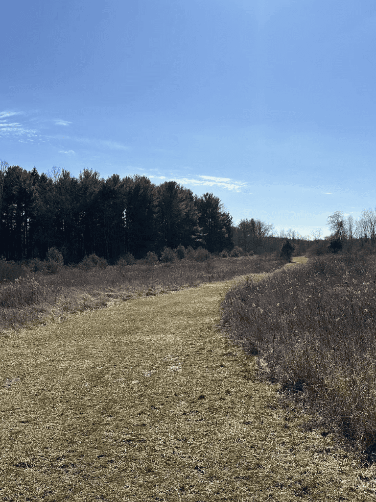 A scenic dirt trail through a natural landscape with trees and clear blue sky.