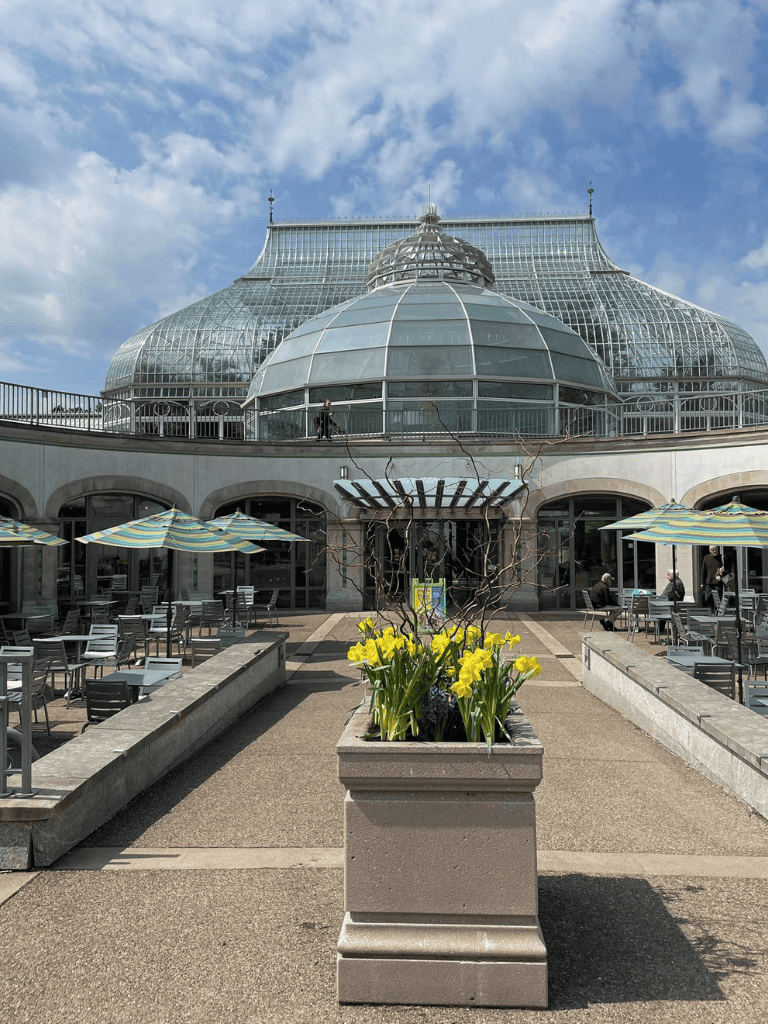 Modern glass greenhouse with outdoor seating and vibrant yellow flowers in a cityscape.
