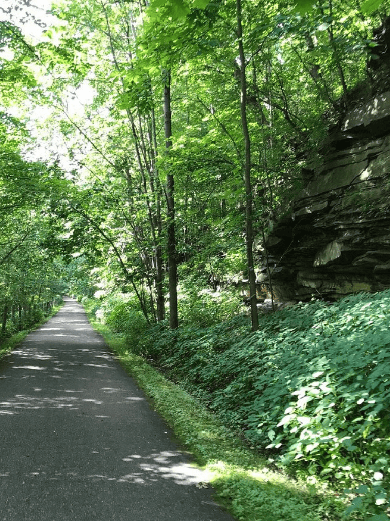 1. Lush green forest trail with tall trees and rocky cliffside for nature exploration.
