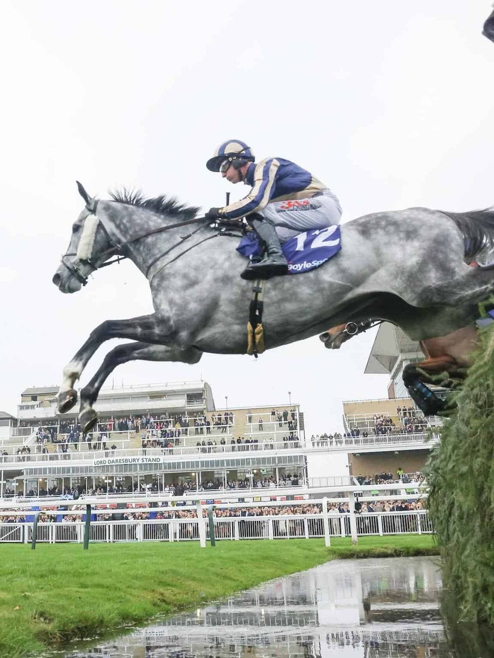 Jockey riding a grey racehorse jumping a hurdle at a racetrack with grandstand in background.