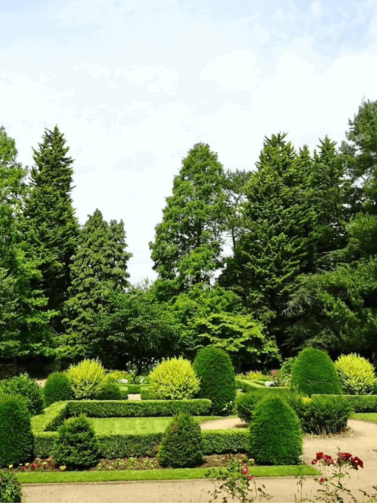 Lush landscaped garden with trimmed shrubs and tall trees, perfect for outdoor relaxation and scenic walks.