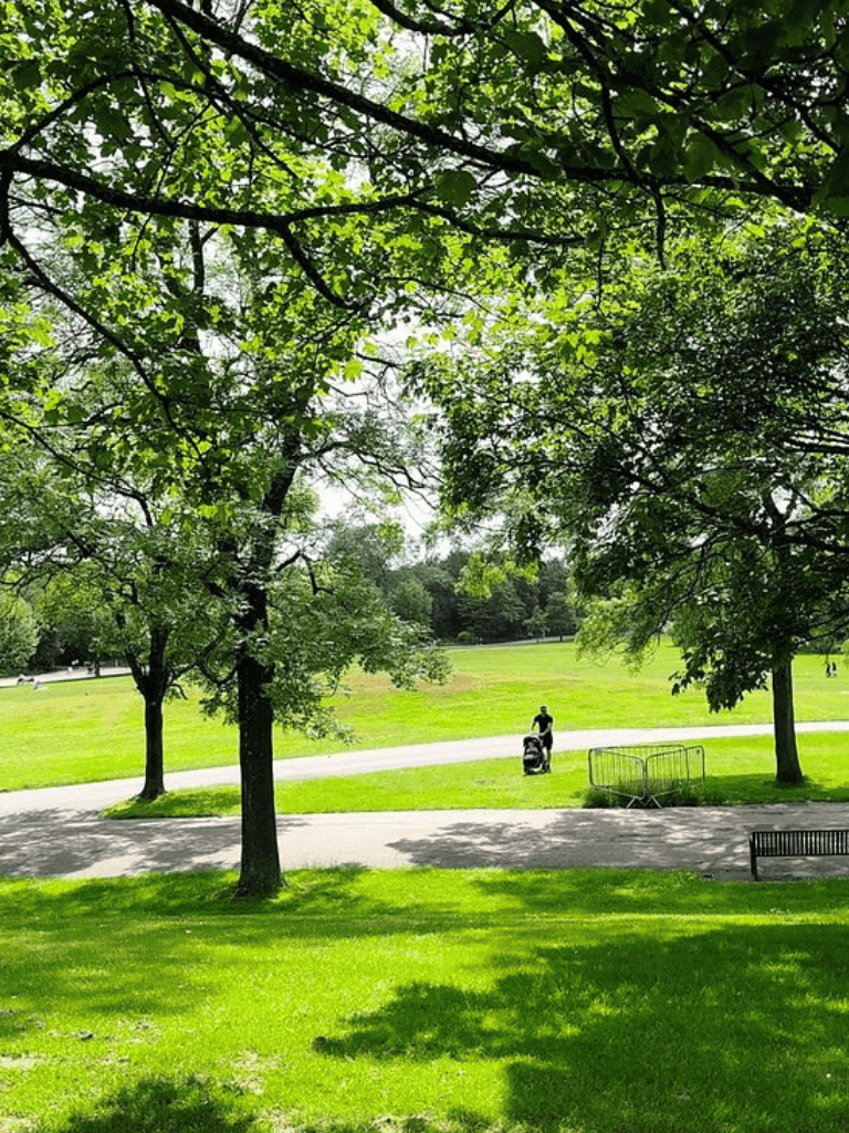 Lush green park with trees, walking path, and a person with a stroller.
