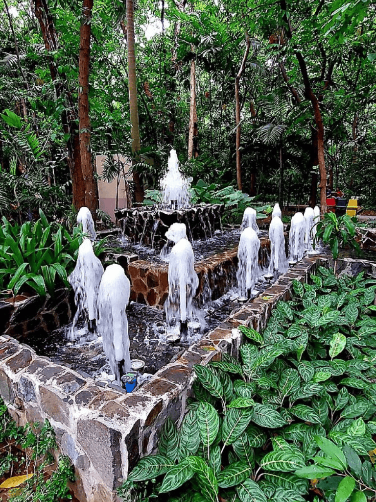 Water fountain feature with cascading water among lush greenery in tropical garden setting.