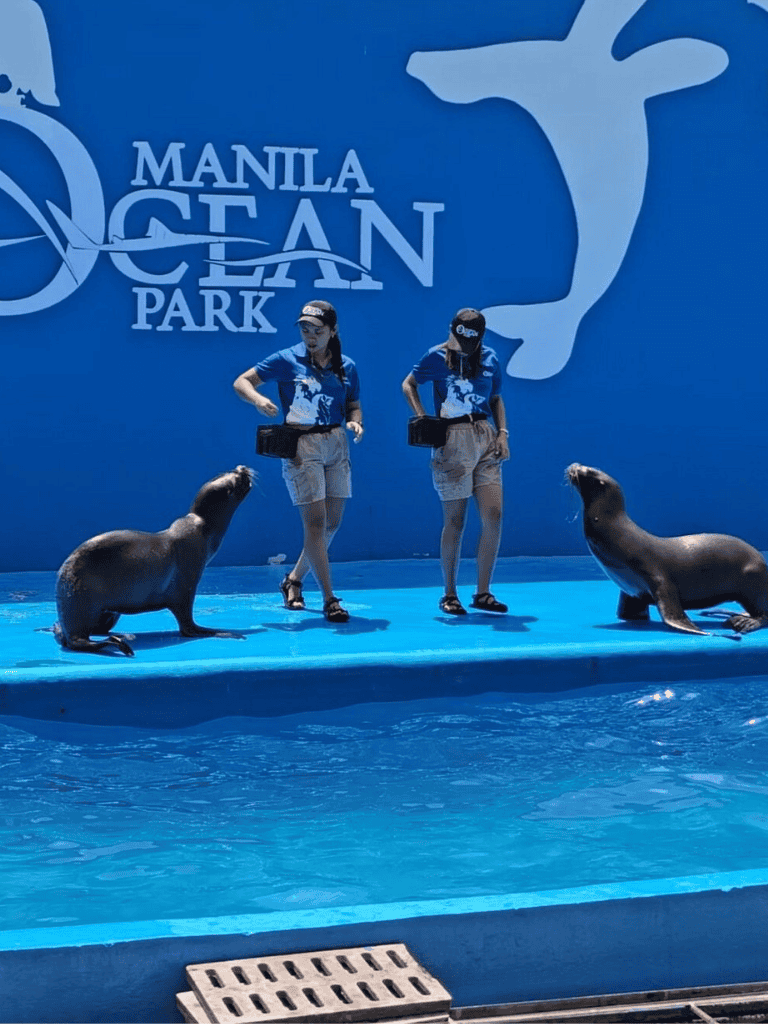 Sea Lions Show at Manila Ocean Park, Philippines, featuring trainers and marine animals.