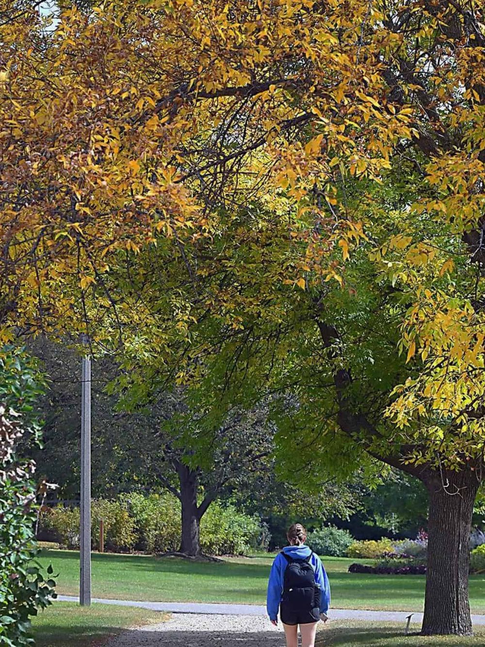 Bright autumn park scene with a person walking on a pathway under colorful fall foliage, ideal for outdoor navigation and nature exploration.