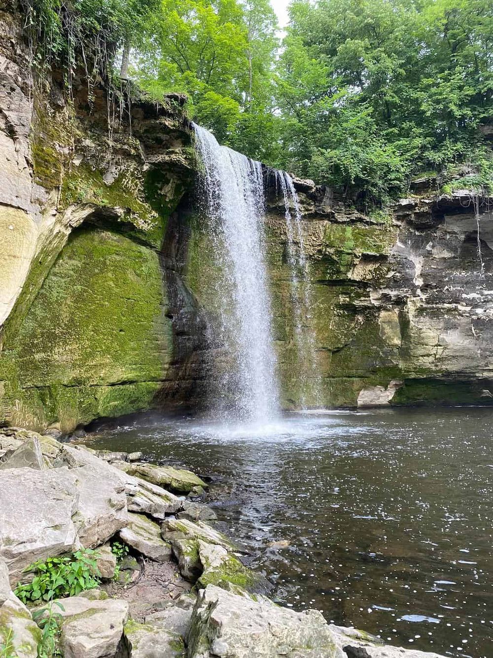 Serene waterfall in lush green forest near a calm river, perfect for nature exploration and outdoor adventures.