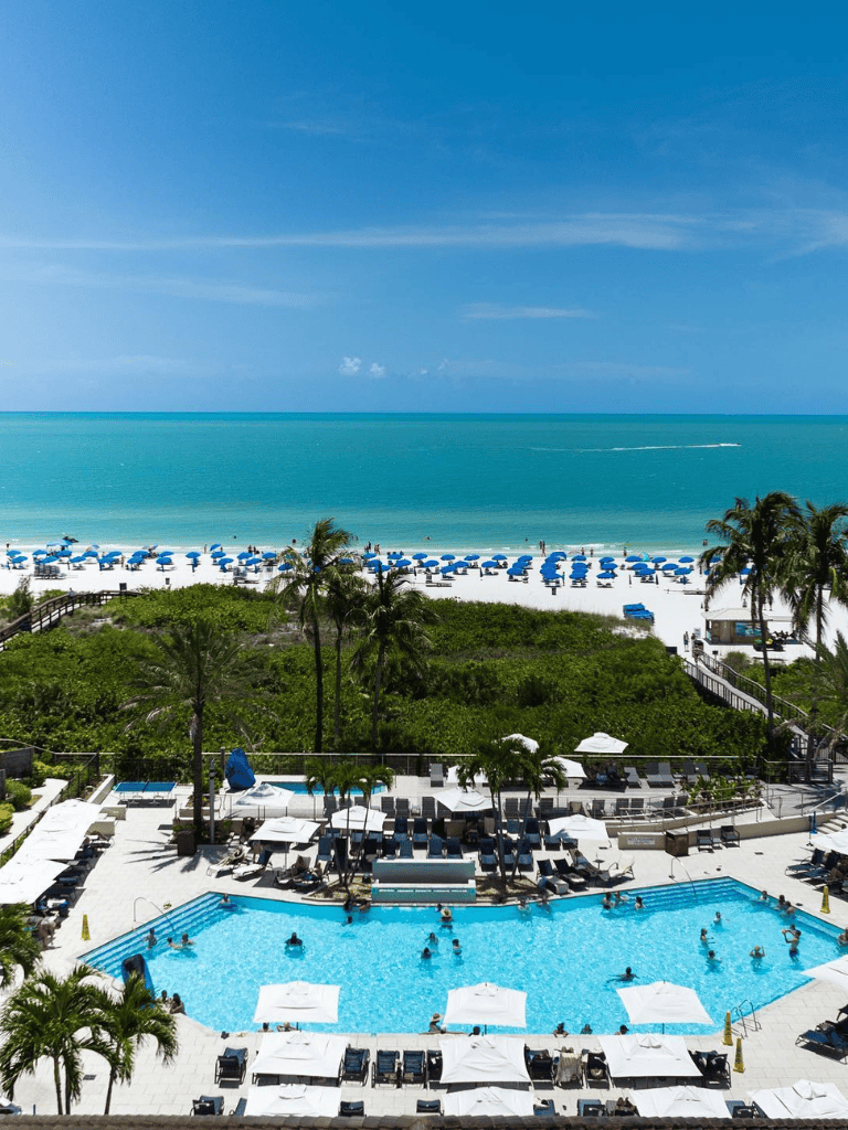 Relaxing poolside view at a luxury beachfront resort with ocean access and palm trees.