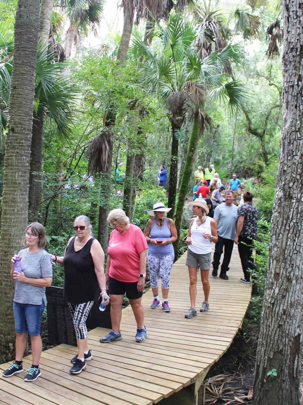 Lush tropical forest with walking trail and group of visitors exploring nature.