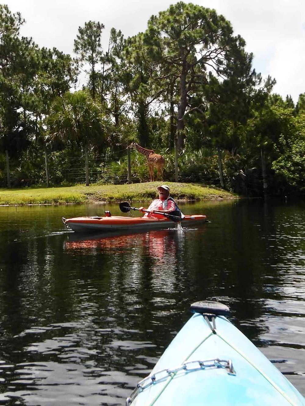 Kayak on peaceful water near lush, tropical greenery with a giraffe in the background.
