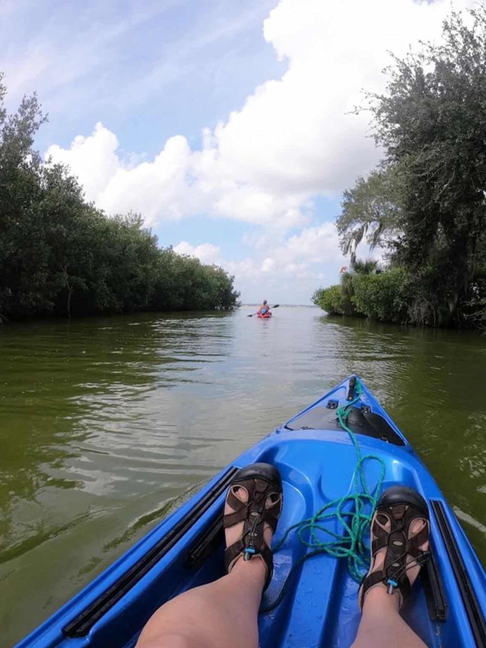 Relaxing kayak adventure through lush mangrove waters under a partly cloudy sky.