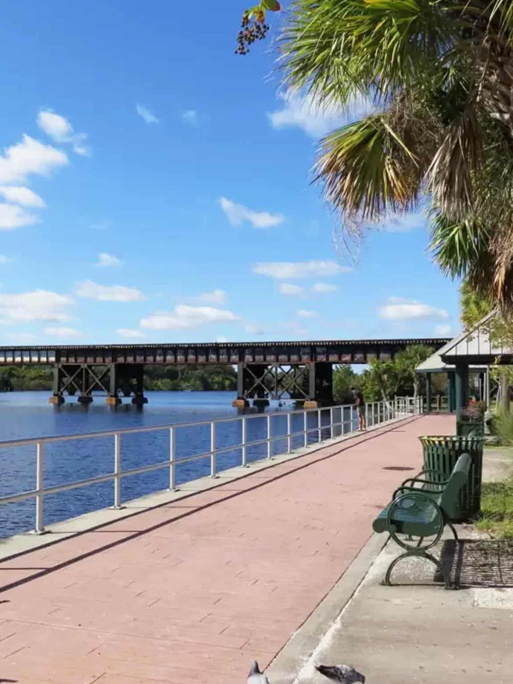 Calm waterfront scene with walking path, palm trees, and bridge, perfect for outdoor recreation and scenic views.